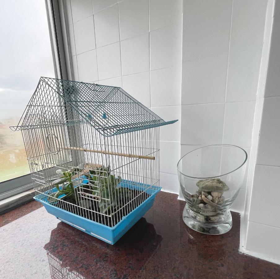 Blue Bay Apartment Setubal Ngoại thất bức ảnh